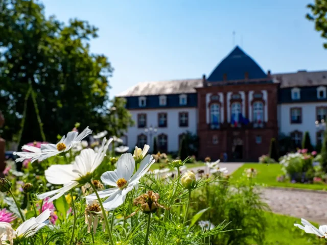 Haguenau